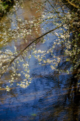 April - Fühling - Spring