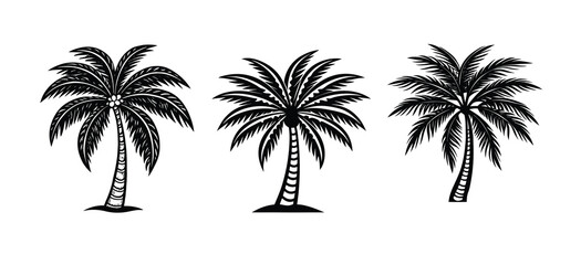 Fototapeta premium Tropical beach sunset vector with palm tree silhouettes