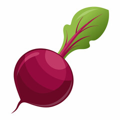 Realistic full-body image of a fresh beet on a white background, ideal for food, nutrition, or botanical design projects.