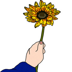 hand holding sunflower