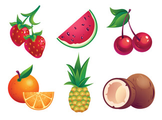 Fruits and Berries colorful illustration set