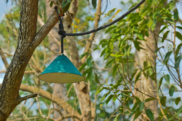 Green lamp on a tree