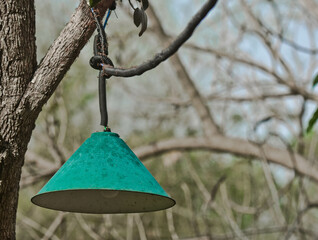 Green lamp on a tree