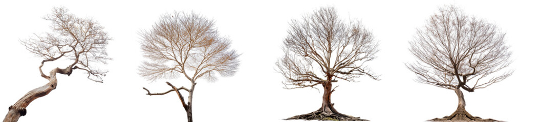 Stylized tree illustrations showcasing unique shapes and artistic variations.