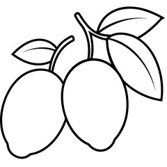vector illustration of an apple
