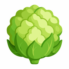 Realistic full-body cauliflower image on white background, perfect for food, health, or nutrition-related digital use.