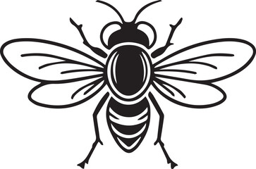 vector illustration of a black beetle