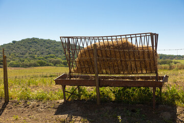 Hay feeder filled with straw in a rural pasture under a clear blue sky. Agricultural scene with...