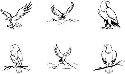 Eagle vector graphics set of six black and white illustrations