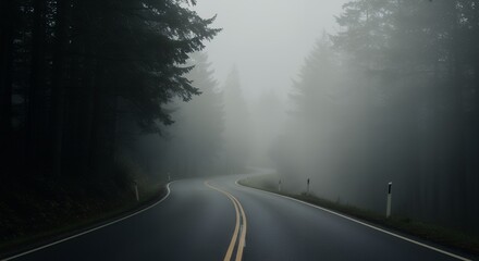 Winding Road Through Misty Forest