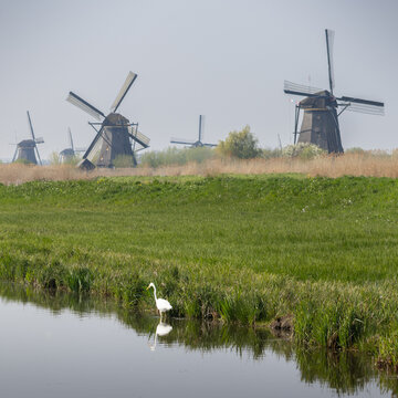 Kinderdijk molens