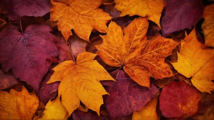 Autumn Leaves in Rich Red and Yellow on the Ground