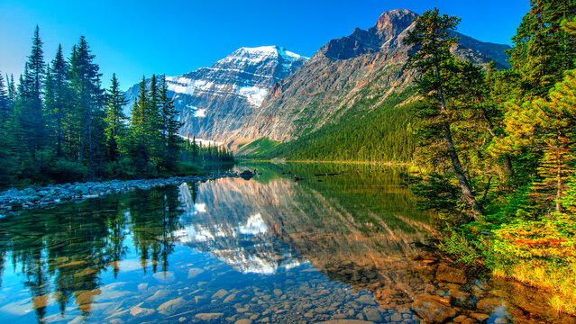 Mount Edith Cavell Reflection on Cavell Lake, Jasper, Canadian Rockies