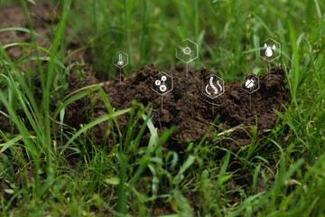 Soil Quality Indicators for Sustainable Agriculture and Environmental Health