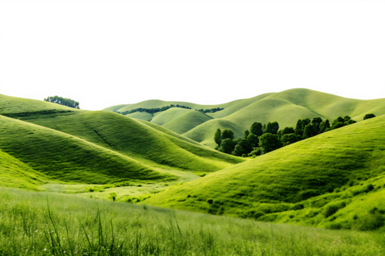 Green hills landscape cut out natural view grass beauty nature isolated on white  background PNG
