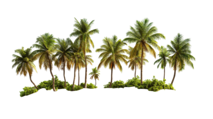 Tropical Oasis with Blush Pink Palm Tree and Lush Greenery Isolated on White Background
