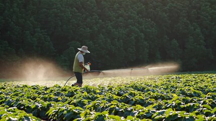 Farm worker spraying protective chemicals across verdant fields, wearing safety equipment during bright summer harvest season, ensuring crop health and agricultural efficiency