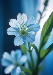 A stalk of light blue and white flowers its dewy leaves reflecting the morning