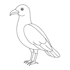 Outline image depicts a standing rook bird facing left, isolated on white