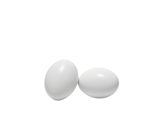 egg on white background