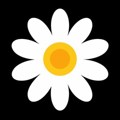 Yellow daisy flower vector illustration with sun bloom design on a black background