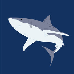 Marine animal. Predatory fish. Shark. Flat illustration of the dangerous shark.	
