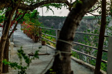 The natural background of the flora, various species of trees growing in the big forest, the richness of the ecosystem, is the habitat of flocks of birds and wild animals such as elephants, wolves
