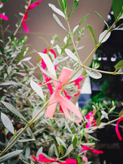 Branches of green bush decorated with pink bows. Beautiful decorations on the street for the holiday. Close-up, selective focus, vertical photo.