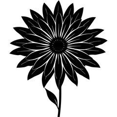black and white flower