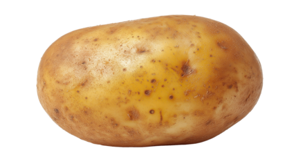Single Yukon Gold potato isolated on white background perfect for recipe visuals, farm-fresh produce designs, and healthy cooking graphics