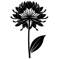 black and white flower