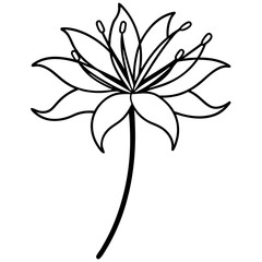 abstract floral background