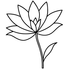 black and white flower