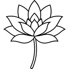 black and white flower