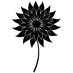 black and white flower