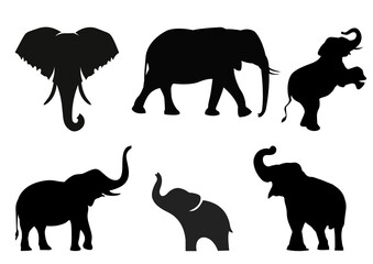 set of animals silhouettes 