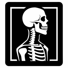 human skull vector illustration