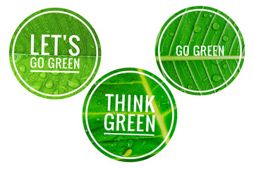 Green logo with green leaf texture background, ecological banner, environmental logo concept