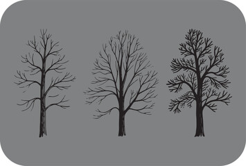 Obraz premium Three bare trees winter season hand drawn illustration