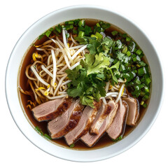 Delicious Duck Noodle Soup Asian Cuisine Bowl