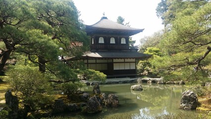 japanese garden in spring