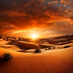 sunset in the desert