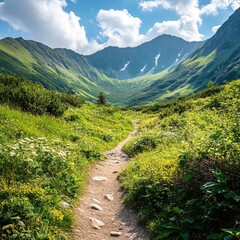 Obraz premium Scenic Mountain Pathway Surrounded by Lush Green Nature Landscape