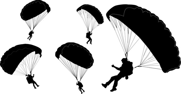Skydivers Parachuting Silhouettes Adventure Extreme Sports Freefall Descent Air Gravity Equipment Harness Canopy Aerial Thrill Jump Outdoor Activity