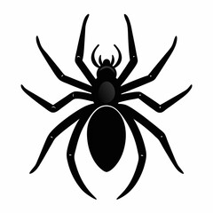 spider on a white background