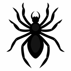 spider on a white background