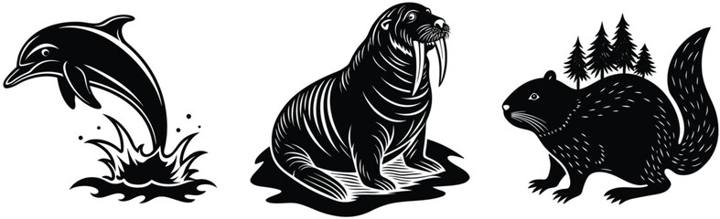 Dolphin walrus and squirrel graphic vector illustration and white wildlife animals isolated on white background