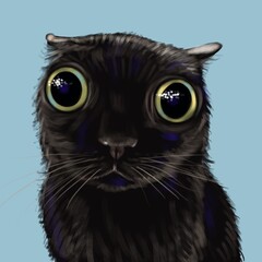 Funny Meme Cat Face Cartoon Style Art Illustration © tishchenko