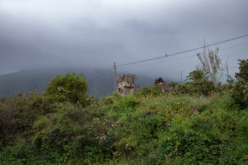 misty morning in mountains