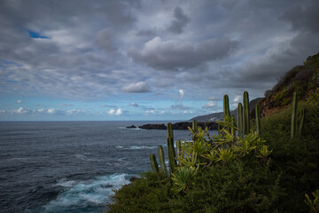 clouds over the ocean